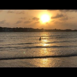 Meet your Posher, Natasha